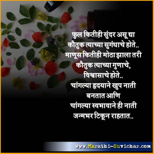 फुल कितीही सुंदर असू - मराठी सुविचार संग्रह - Marathi Suvichar Sangrah